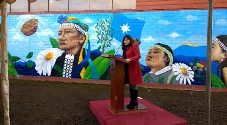 Nuevo mural intercultural en Vega Redonda​