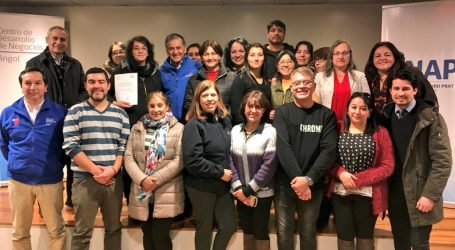 Escuela de emprendimiento femenino en Malleco