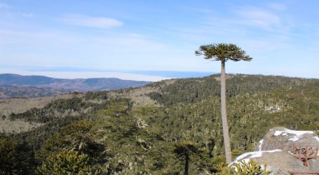 Conguillío y Nahuelbuta son priorizados para potenciar el turismo regional