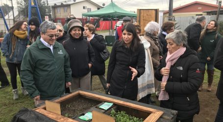 Subsecretaria  de  prevención del delito visitó proyecto  “ Huertos Urbanos Villa Los Aromos” en Temuco