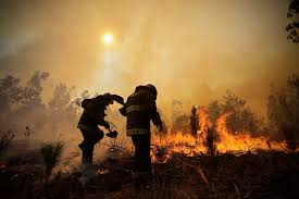 El malicioso negocio en los incendios forestales