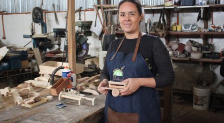 Emprendedora de Temuco rescata tradición de juguetes de madera