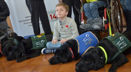 Primera camada de perros de asistencia en Temuco