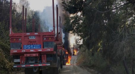 CAM reivindicó ataques incendiarios en Biobío, Araucanía y Los Ríos