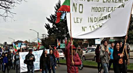 500 personas marchan por causas Mapuche