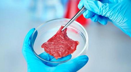 Crean el primer filete de carne cultivado en laboratorio y se podrá comprar dentro de dos años
