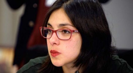 Diputada Cariola califica a Briones como “lobbysta de las AFP” y lo cuestiona por ocultar vínculo