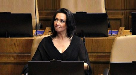 Diputada Santibáñez no se presentará en el congreso durante esta semana