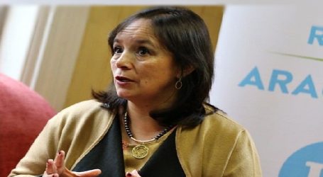 Senadora Carmen Gloria Aravena: Agricultura comprometió su apoyo para retomar discusión de Ley Apícola