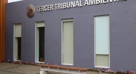 Tribunal ambiental condena a Endesa por daño ambiental en Lota y Coronel