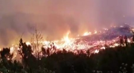 Corma: “Cerca del 60% de los incendios forestales producidos en la Región son intencionales”