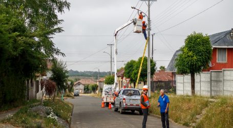 Victoria: implementa recambio de alumbrado público en Selva Oscura