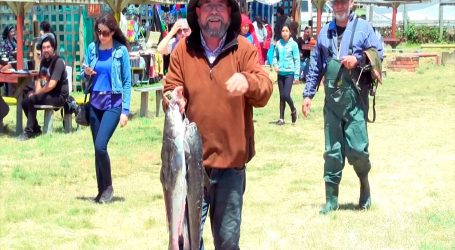 Saavedra: Campeonato Nacional de Pesca Recreativa en playa Puaucho
