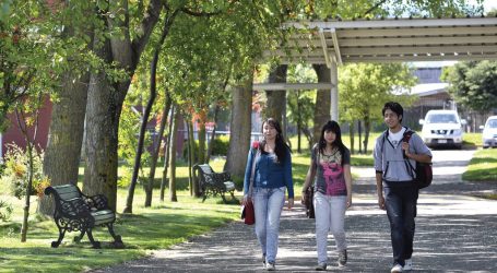 UFRO lanzará Red de Universidades Unidas por la Infancia