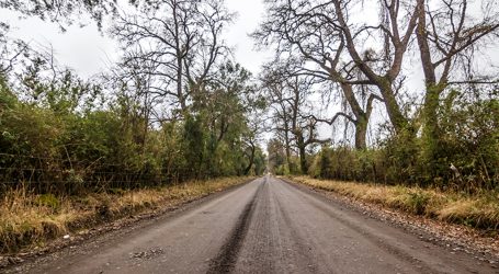 Victoria: Se inician Obras del Camino Selva Oscura a Perquenco