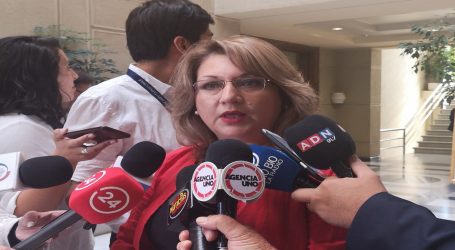 Diputada Parra conforma bancada transversal por las 40 horas