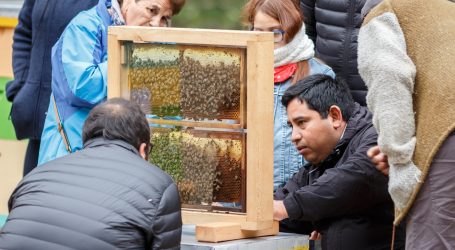 En su Quinta Versión se realizó Muestra Apícola en Victoria