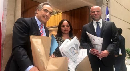 Parlamentarios buscan que el comercio entregue gratis a lo menos una bolsa biodegradable