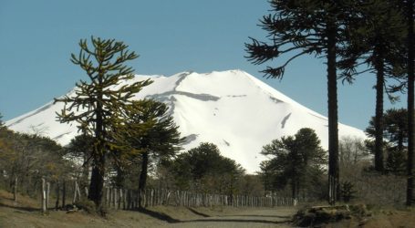 Un nuevo logro: Lonquimay es declarado zona de interés turístico