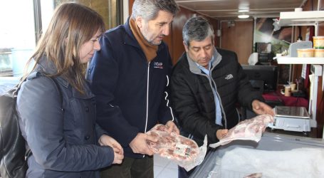 Indap junto a Cooperativa Ovicoop potencian carne de cordero gourmet