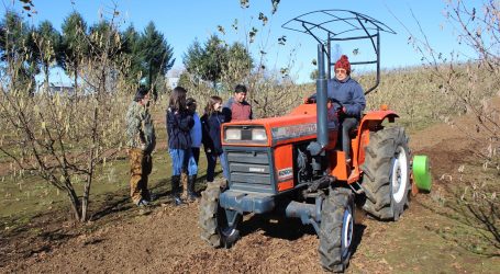 Indap abrió concurso para proyectos agrícolas