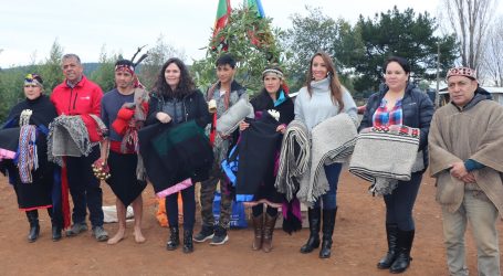 Tradiciones Mapuche se conservarán en Collipulli