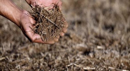 Ministro de Agricultura: “Estamos ante la sequía más grande de la historia del país”