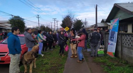 Siguen las esterilizaciones de mascotas en Victoria