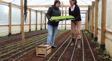 Indap potencia los proyectos de riego en La Araucanía ante crisis hídrica y cambio climático