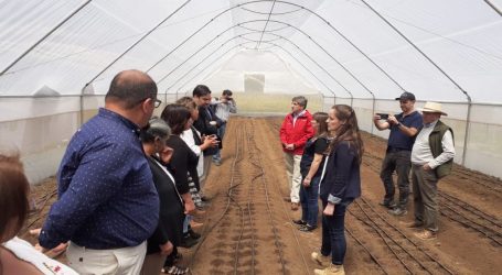 Cooperativa de Mujeres Floricultoras Potencian Emprendimiento Gracias a Convenio  INDAP y ANASAC