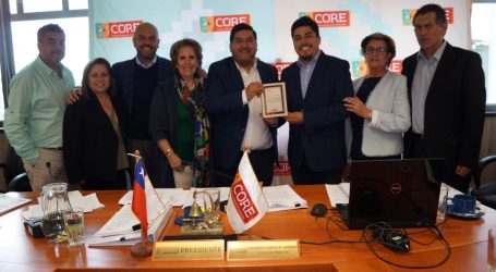 Consejo Regional renueva su compromiso con La Araucanía en primera sesión plenaria del 2020