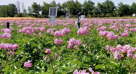 Inia presenta  trabajos en Congreso Agrónomico