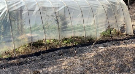 INDAP inició entrega de ayudas a pequeños agricultores afectados por incendios en La Araucanía