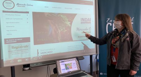 INDAP Araucanía inaugura portal web para potenciar comercialización de productos campesinos