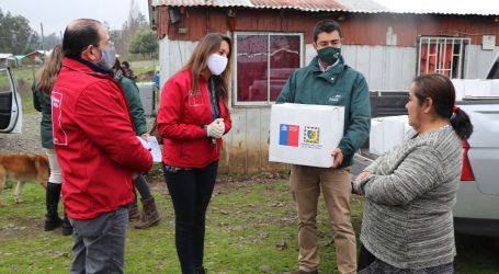 En Temuco comenzó la entrega de 6.856 cajas de alimentos