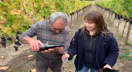 En el día nacional de vino Indap destaca a pequeños agricultores que están innovando en este rubro