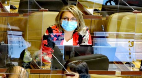 Diputada Andrea Parra pide extender el horario del permiso temporal individual para quienes viven en el sector rural.