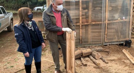 Indap abrió concursos para financiar proyectos de inversión agrícola