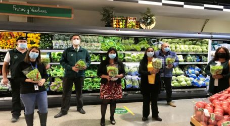 Con el apoyo de INDAP, mujeres mapuche venden sus lechugas a supermercados JUMBO en Temuco