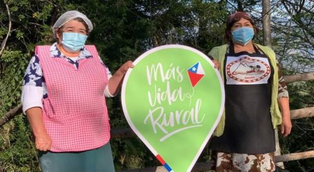 Indap abre concurso especial de inversiones para agricultores Mapuche