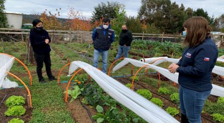 Agricultora de Loncoche se la juega por la diversificación productiva en cultivos no tradicionales