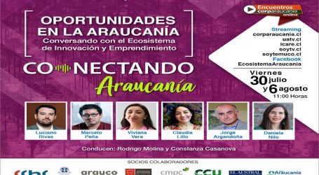 “Conectando Araucanía” reúne a referentes del ecosistema emprendedor