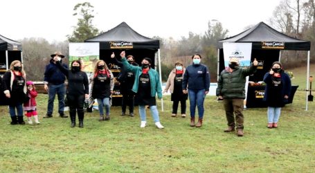 Indap Araucanía reactiva economia local a través de red de mercados campesinos