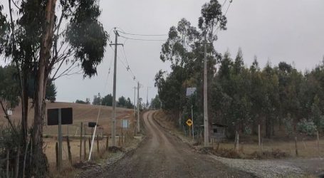 Nueva red eléctrica construyó Frontel en sectores rurales de Galvarino y Temuco