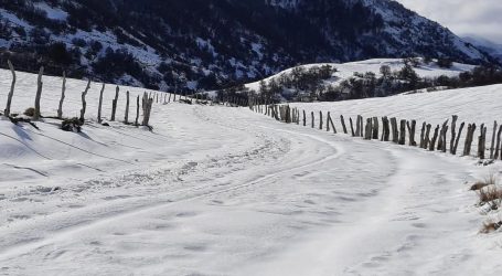 Lonquimay coordina despeje de caminos vecinales con acumulación de nieve