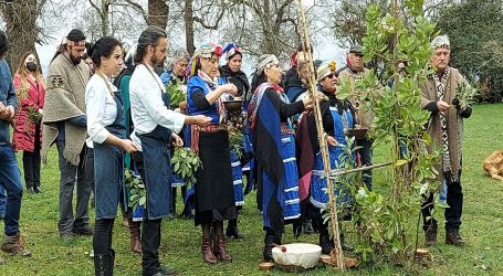 Iniciativa turística mapuche apoyada por Conadi será difundida por chef internacional en programa de televisión gastronómico