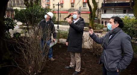 Municipio De Temuco Realiza Catastro Del Arbolado Urbano Para Implementar Programas De Reforestación Y Recambio De Especies