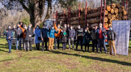 Gremios forestales y pymes madereras presentan campaña para prevenir comercio ilegal de madera y daño al medio ambiente