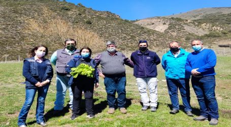 Agricultor apoyado por indap modelo productivo que rescata prácticas ancestrales