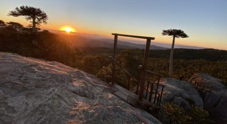 MOP: obras de pavimentación de acceso al Parque Nacional Nahuelbuta entran en su etapa final